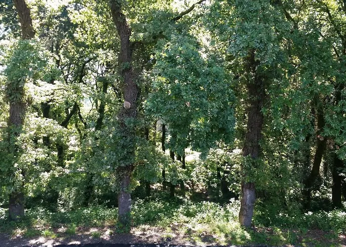 Escola De Bieite * Boimorto (A Coruna)